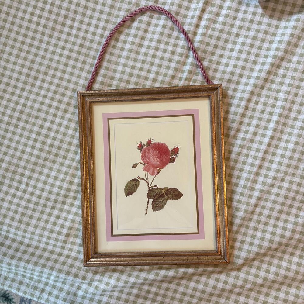 Framed Pierre-Joseph Redouté Rosa Centifolia burial print